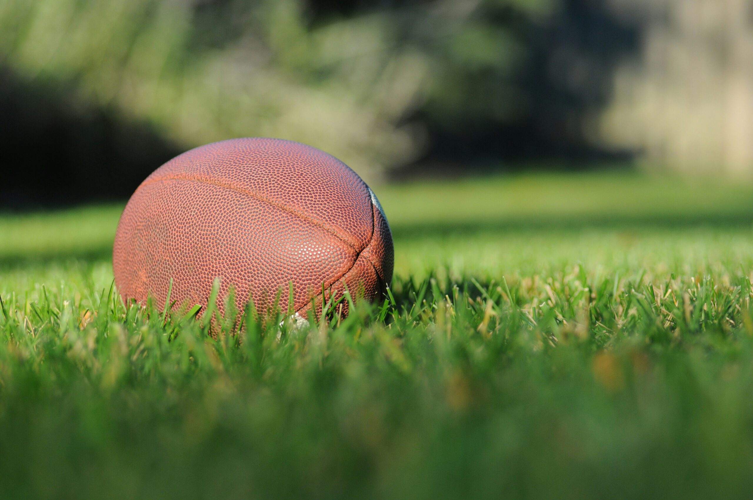 Anna Maria College Athletics Expands with New Programs and Leadership Ahead of 2026–27
