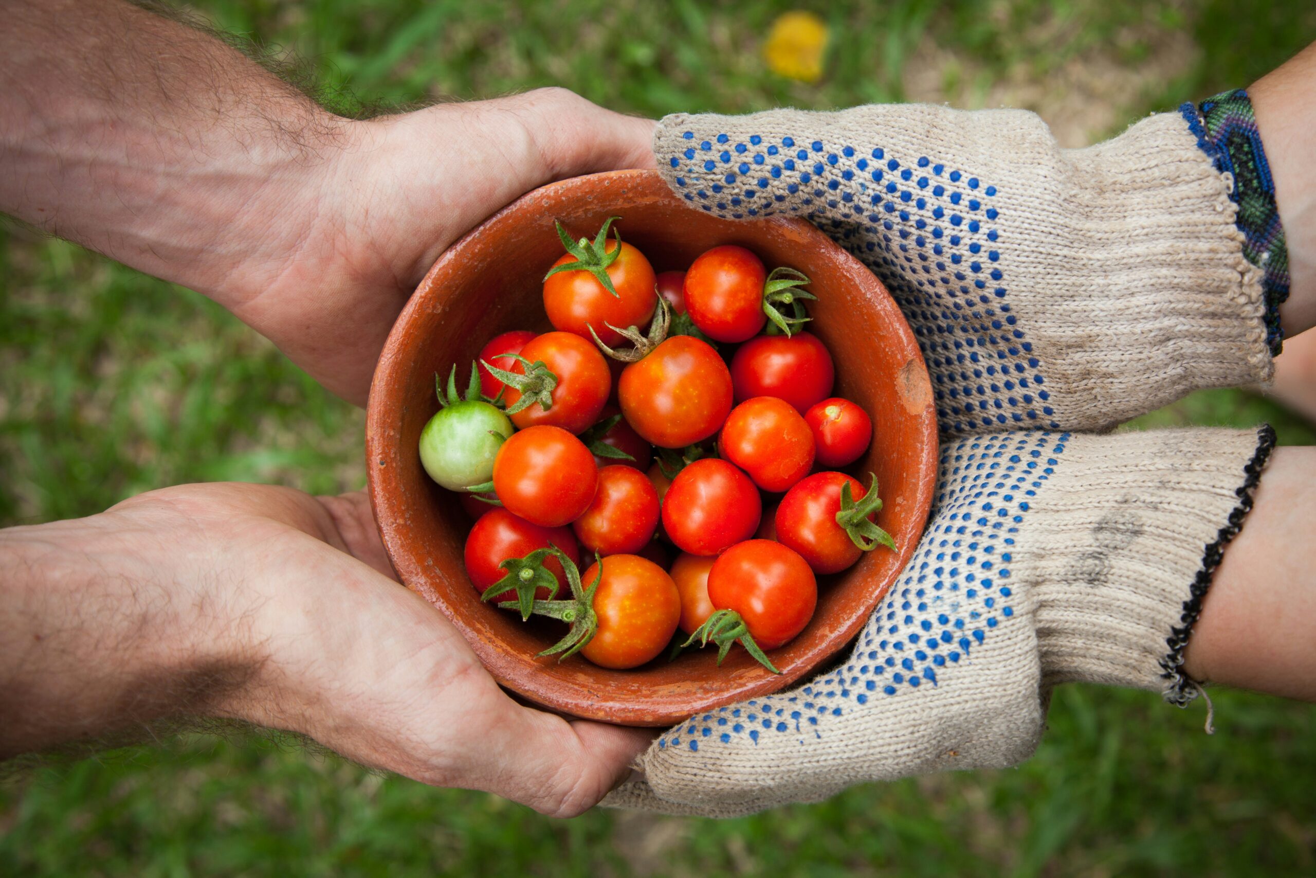 How does your garden grow?